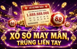 xinhongtiyu Xổ Số